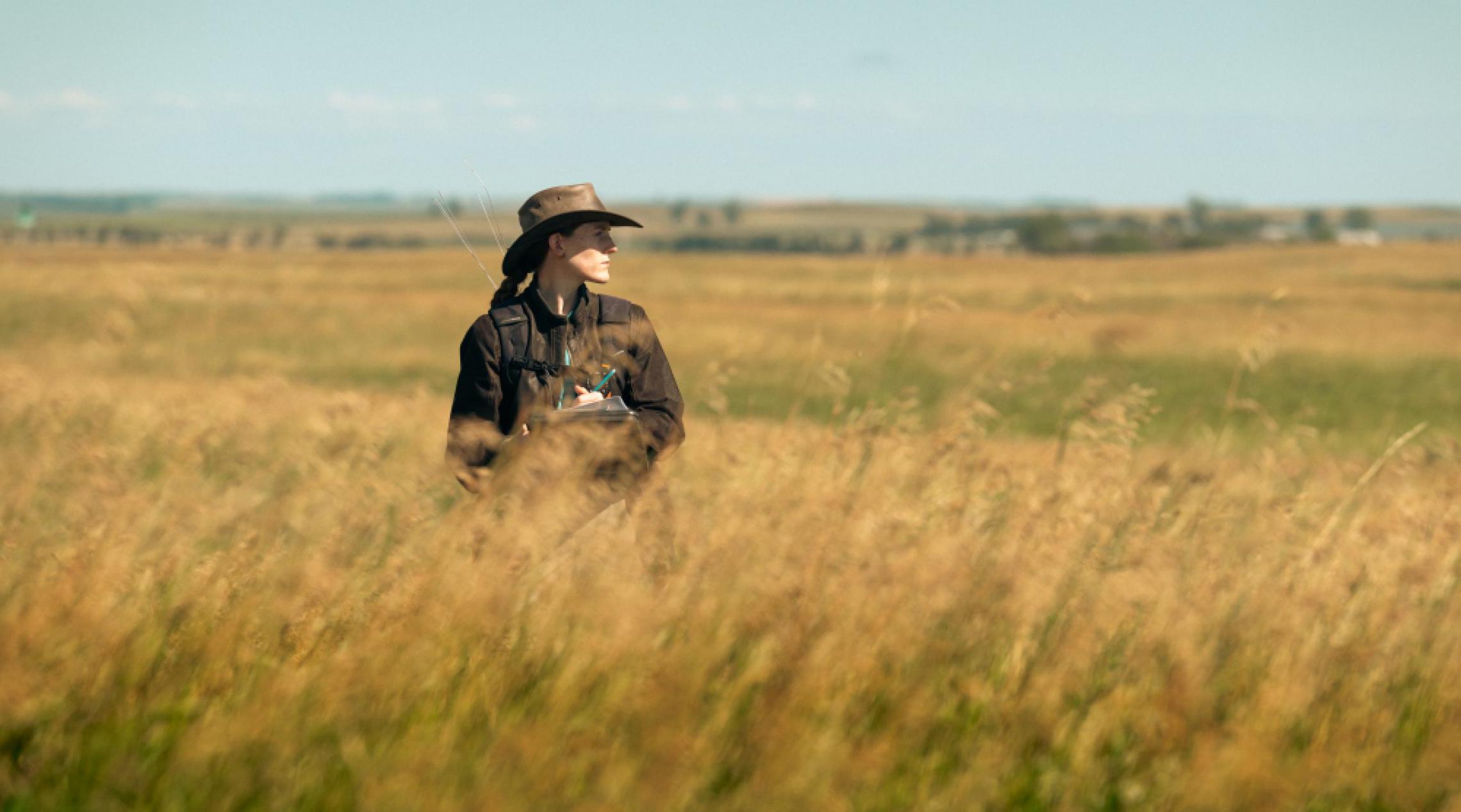 Woman observing butterfly population in a field 