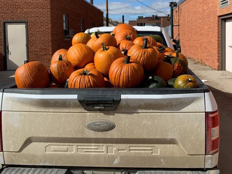 a load of pumpkins in a truck bed