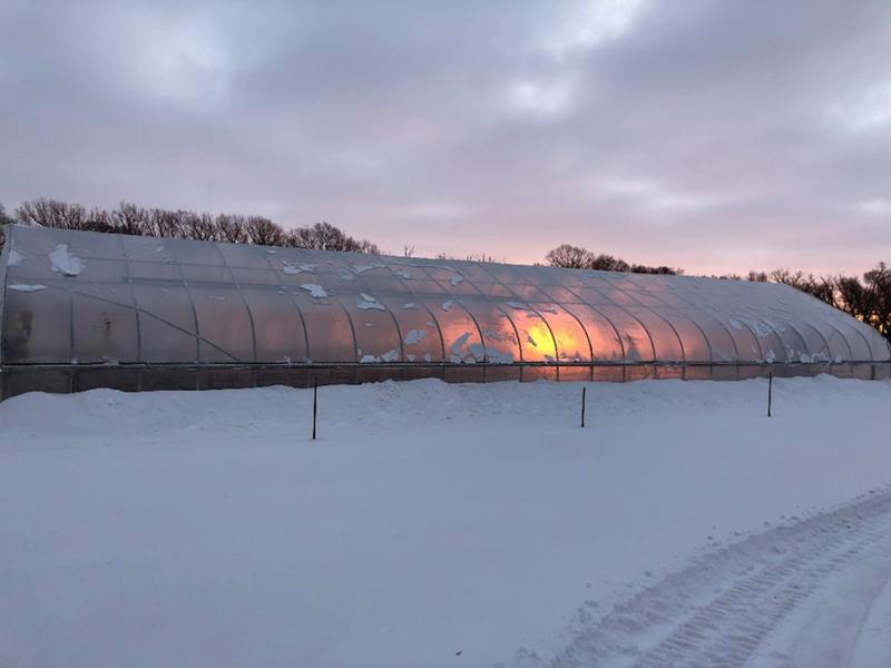 a greenhouse with a light on in the winter