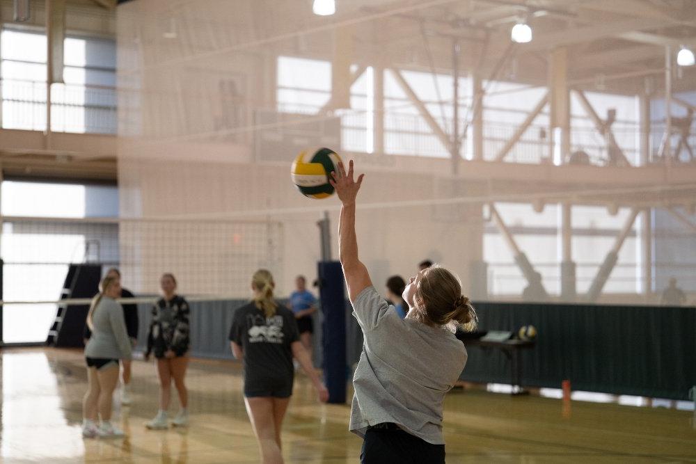 people playing volleyball